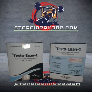 TESTO-ENAN AMP køb online i Danmark - steroiderkobe.com