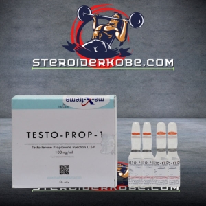 TESTO-PROP køb online i Danmark - steroiderkobe.com