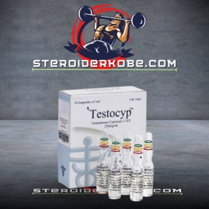 TESTOCYP køb online i Danmark - steroiderkobe.com
