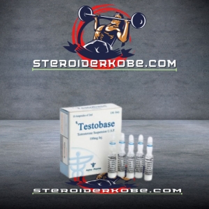 testobase køb online i Danmark - steroiderkobe.com